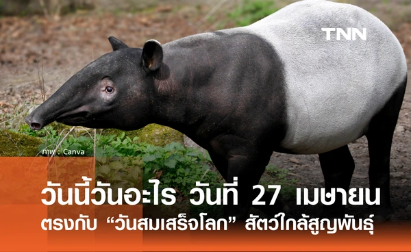 วันนี้วันอะไร? 27 เมษายน 2569 ตรงกับ “วันสมเสร็จโลก” รู้จักสัตว์หายาก ที่หลายคนไม่เคยเห็นตัวจริง