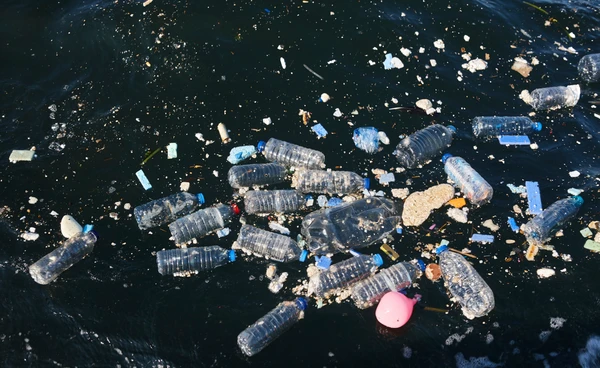 ปัญหา “ขยะพลาสติก” แก้ได้ด้วยการใช้ซ้ำ หากทั่วโลกร่วมใจจะกันช่วยลดขยะได้ 97%