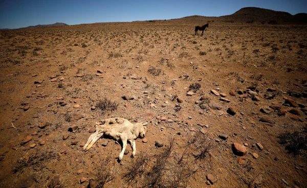 น้ำกำลังหมด!  “แอฟริกา” กำลังแห้งแล้งหนัก