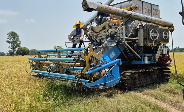 รถเกี่ยวข้าว จ่อปรับราคาขึ้นหลังดีเซลพุ่งพรวด 6 บาท/ลิตร
