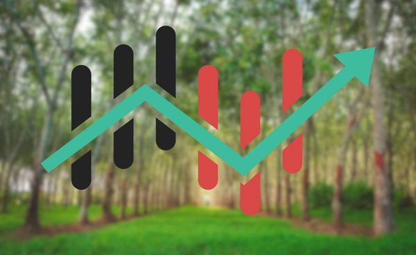 ส่องหุ้น “เกษตร” หลังลือ “ศุภจี” เหมาคุมเกษตร-พาณิชย์