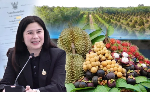 รับฤดูผลไม้ "พาณิชย์"ออกใบเซอร์ให้ทุกวัน