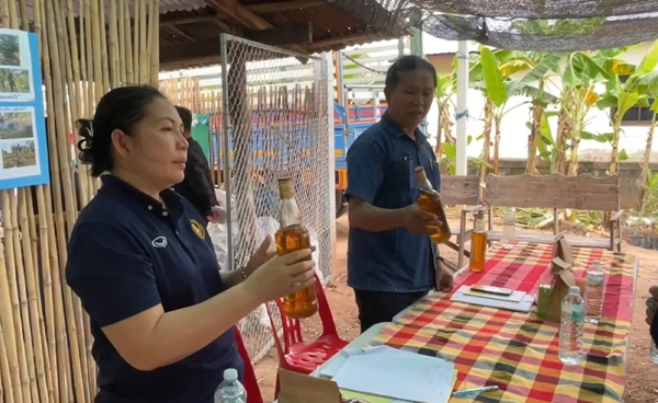 จากทางตันสู่ทางรอด! ชาวบ้านโคกสง่ากลั่นน้ำมันใช้เอง ผลิต 100-200 ลิตร/วัน