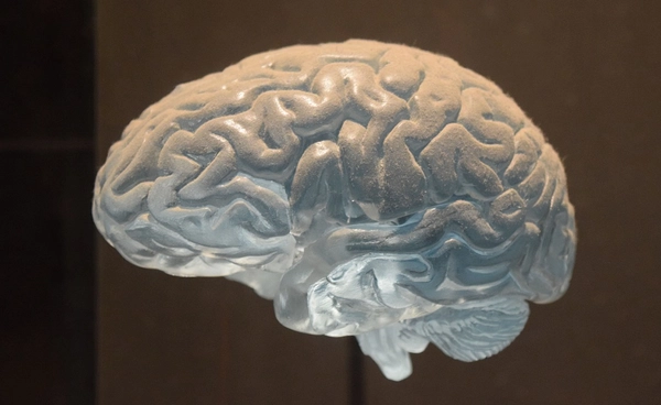 สมองห้องแล็บพัฒนาครั้งใหญ่ ประมวลผลได้แบบเรียลไทม์พบคล้าย “เด็กวัยฝึกเดิน”