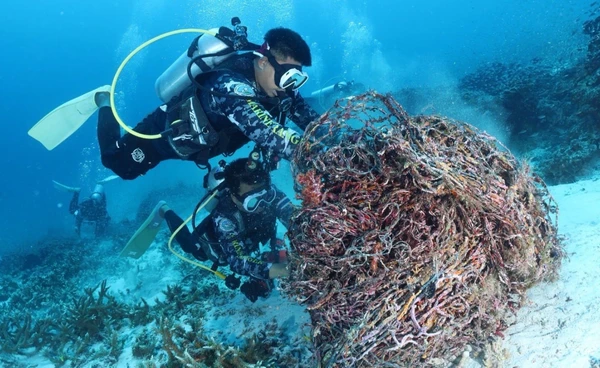 “อช.สิมิลัน” กู้อวนผี  หนัก 500 กก. ที่เกาะปายัง  เพื่อคืนความสมดุลแก่ท้องทะเล 
