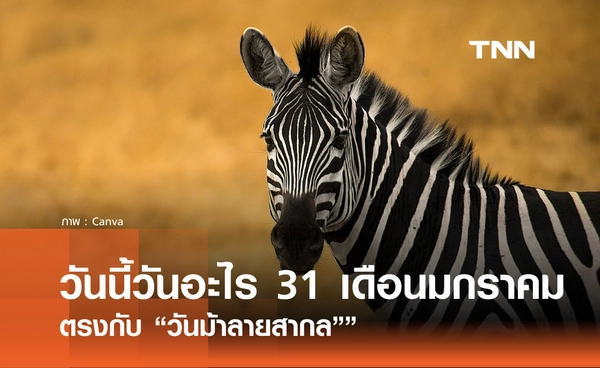 วันนี้วันอะไร วันที่ 31 มกราคม 2569 ตรงกับ “วันม้าลายสากล”