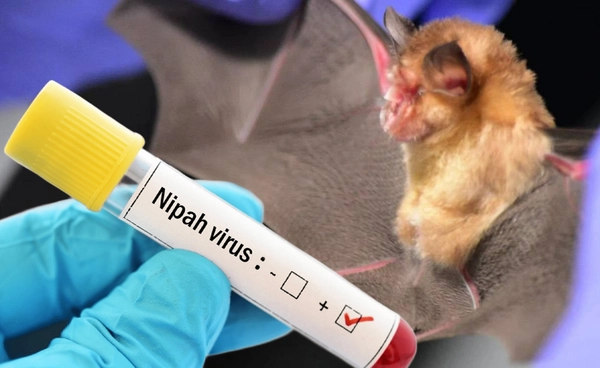 กรมอุทยานฯ ออกมาตรการสกัด "ไวรัสนิปาห์" ในพื้นที่ถ้ำ-แหล่งท่องเที่ยวธรรมชาติ