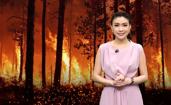 จับตาฤดูไฟป่า 2569 เสี่ยงรุนแรงรับเอลนีโญ แม้สถิติลดลงแต่ยังน่าห่วง