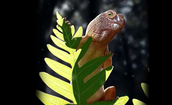 จิ๋วแต่แจ๋ว! พบฟอสซิลสัตว์สี่เท้าเล็กที่สุด จากยุคไทรแอสซิก อายุ 240 ล้านปี