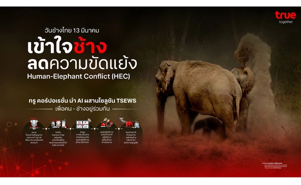 วันช้างไทย 13 มีนาคม ทรู คอร์ปอเรชั่นนำ AI ผสานโซลูชัน TSEWS เพิ่มความแม่นยำ ระบบ เข้าใจช้าง 