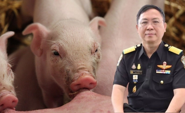 ปศุสัตว์เร่งเครื่องเจรจา ‘สิงคโปร์’ เปิดตลาดนำเข้าหมูอีกประเทศ