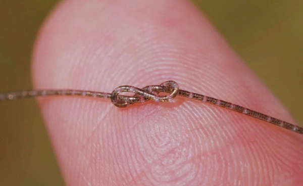 จีนพัฒนา ชิปเส้นใย  บางกว่าเส้นผม ปูทางรักษาโรคทางระบบประสาทแบบใหม่