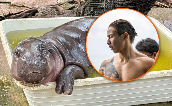 สรุปดรามา “หมูเด้ง - ทราย สก๊อต” หลังนักอนุรักษ์ดังตั้งคำถามปมสัตว์กลายเป็นธุรกิจ