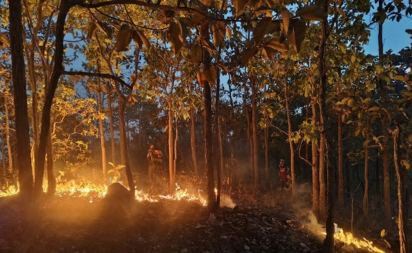 ไฟป่าลุกลาม “อุทยานแห่งชาติแม่วาง” เสียหายกว่า 40 ไร่