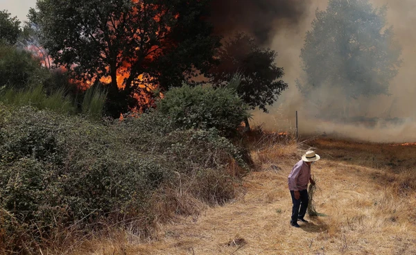 เปิดบทลงโทษหนัก  คนก่อ pm2.5