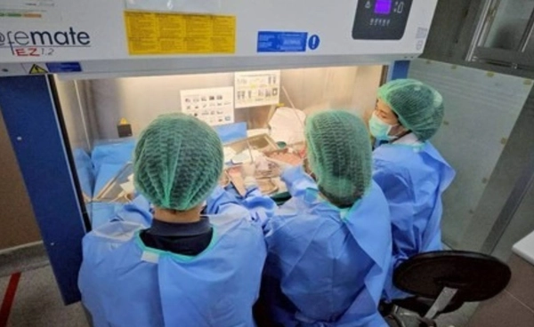 เยื่อหุ้มรก นวัตกรรมรักษาโรคตา ฟื้นฟูการมองเห็น