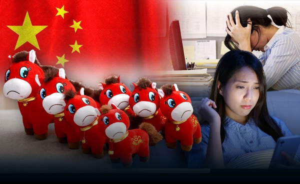 "ตุ๊กตาม้าร้องไห้" ภาพสะท้อนความกังวลผู้บริโภคจีน