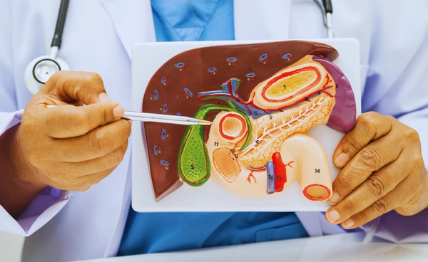 ตับอ่อนเทียม อาจช่วย ผู้ป่วยเบาหวาน ไม่ต้องฉีดอินซูลินทุกวัน