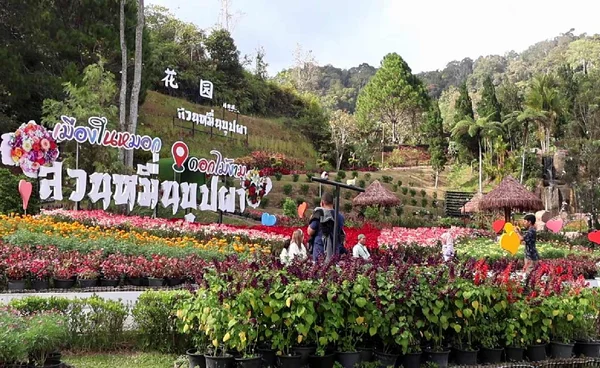 "สวนหมื่นบุปผา"เบตง ส่งสุขวาเลนไทน์จ่ายเงินหลักสิบชมดอกไม้เมืองหนาว | เรื่องดีดีทั่วไทย | 11-2-69