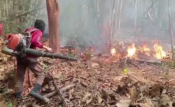 “ลำปาง” ไฟไหม้ป่า1,500 ครั้ง กระทบ 13 อำเภอ ระวังฝุ่นเพิ่ม