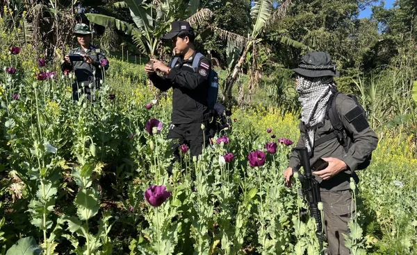 ป.ป.ส. ใช้เทคโนโลยีตัดวงจรฝิ่น สกัดความเสียหายกว่า 5.4 ล้าน