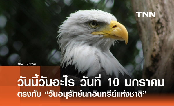 วันนี้วันอะไร วันที่ 10 มกราคม 2569 ตรงกับ “วันอนุรักษ์นกอินทรีย์แห่งชาติ”