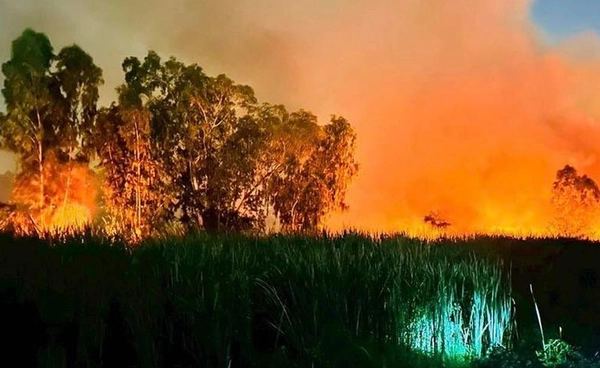 ลมเปลี่ยนทิศ! ไฟไหม้หญ้าบางเขน ทำฝุ่น PM 2.5 กทม. พุ่งสูง