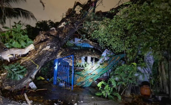 พายุถล่มนนทบุรี ต้นก้ามปูยักษ์โค่นทับบ้านพังยับ