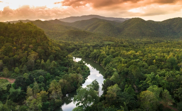 14 มกราคมของทุกปี “วันอนุรักษ์ทรัพยากรป่าไม้ของชาติ”