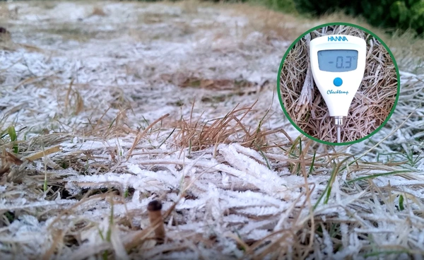 ยอดอินทนนท์หนาวยะเยือก อุณหภูมิยอดหญ้า -0.3 องศาฯ เกิด “เหมยขาบ” ครั้งที่ 39 ของฤดูหนาวปีนี้