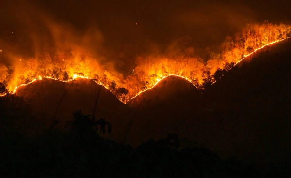 โลกร้อนจุดชนวน “ไฟป่า” พบวันอากาศร้อน-แห้งเพิ่มขึ้น 3 เท่า เสี่ยงลามพร้อมกันหลายทวีป