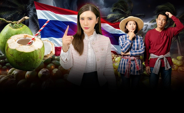  ทำไม "มะพร้าวไทย" ยิ่งขาย ยิ่งขาดทุน? ทางออกล่าสุดรัฐบาลไทย