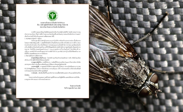 ไขข้อสงสัย ตัวคุ่นกัด ทำเสียชีวิตจริงหรือไม่ รพ.วังเหนือเผยข้อเท็จจริง