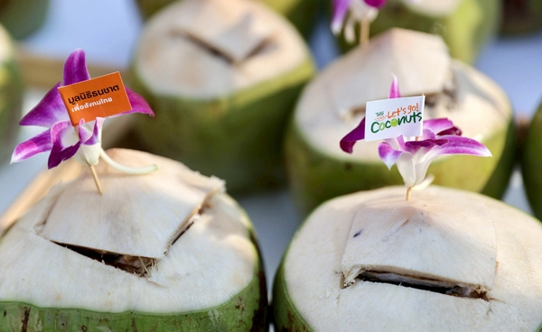 มูลนิธิธนชาตฯ ผนึกกำลัง MBK และพันธมิตร แจกฟรี “มะพร้าวน้ำหอม” กว่าหมื่นลูก