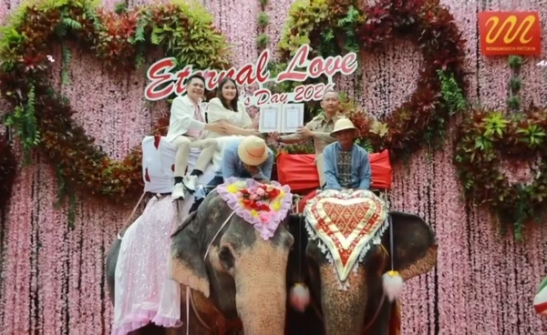 ต่างชาติร่วมจดทะเบียนสมรสบนหลังช้าง สวนนงนุช