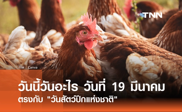 วันนี้วันอะไร วันที่ 19 มีนาคม 2569 ตรงกับ "วันสัตว์ปีกแห่งชาติ"