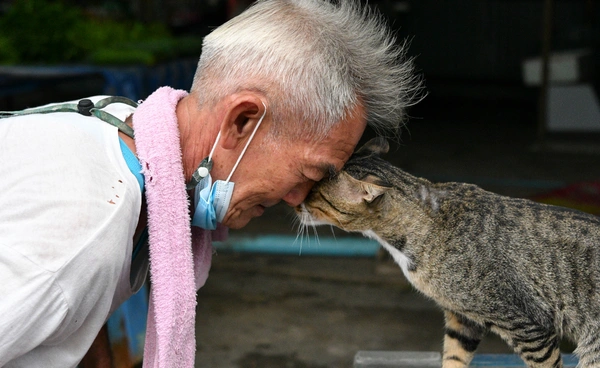 ปลูกผักเลี้ยงสัตว์ ทางรอดวิกฤตน้ำมันได้จริงหรือ? 