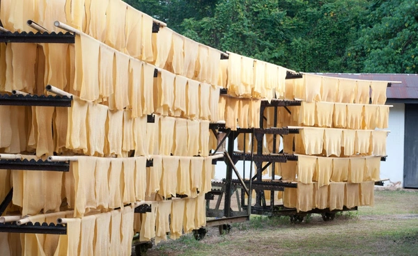 STA ขาดทุนปี 68 กว่า 1.2 พันลบ. หลังราคายางโลกร่วงลง