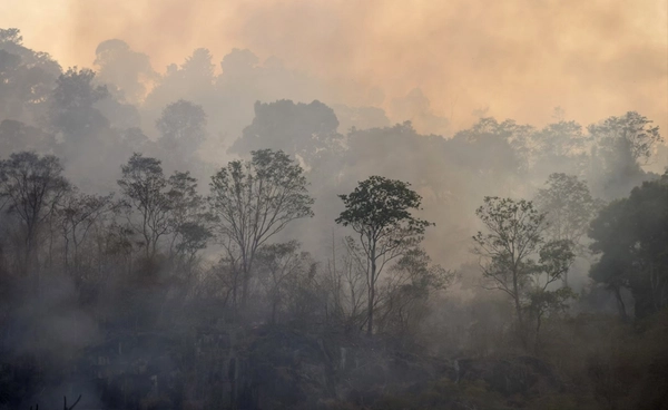 วิกฤตไฟป่า! สั่งปิดป่าสงวนฯ 4 จ.ภาคเหนือ ฝ่าฝืนโทษหนักคุก 20 ปี