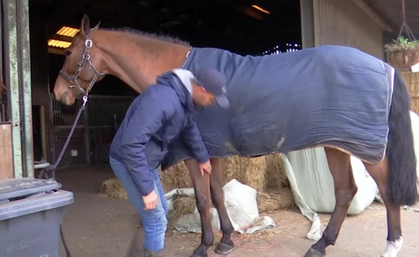 อังกฤษปั้นนวัตกรรม “Waste to Wonder” แปรรูป “มูลสัตว์” สู่พลาสติกยั่งยืน