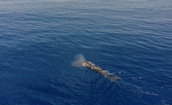 มหาสมุทรเดือด!  ร้อนที่สุด 9 ปีติดต่อกัน สัญญาณโลกร้อนถึงจุดอันตราย