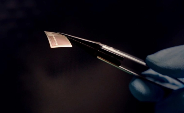 สหรัฐฯ สร้าง “แสตมป์ฝั่งสมอง” ชิปที่ทำให้สมองคุยกับ AI ได้ ด้วยความเร็ว 100 Mbps