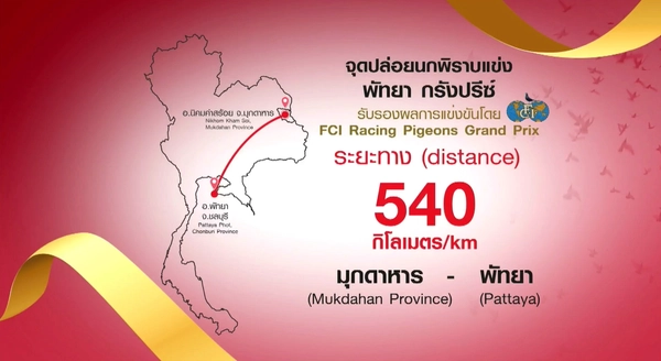 รูป-พัทยาคึกคัก! นกพิราบจากคูเวตซิวแชมป์โลก การแข่งขันนกพิราบแข่งนานาชาติพัทยา ครั้งที่ 10-6