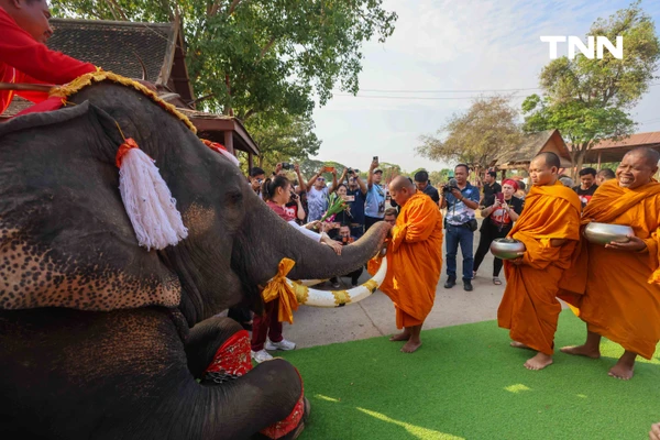 รูป-อยุธยาจัดใหญ่ "วันช้างไทย 69”  เชิดชูสัตว์คู่แผ่นดิน เลี้ยงโต๊ะจีนช้าง 70 เชือก-10