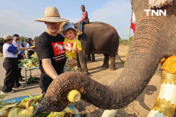 รูป-อยุธยาจัดใหญ่ "วันช้างไทย 69”  เชิดชูสัตว์คู่แผ่นดิน เลี้ยงโต๊ะจีนช้าง 70 เชือก-17