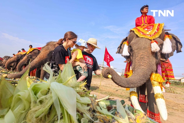 รูป-อยุธยาจัดใหญ่ "วันช้างไทย 69”  เชิดชูสัตว์คู่แผ่นดิน เลี้ยงโต๊ะจีนช้าง 70 เชือก-19