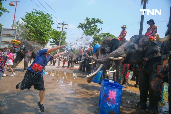 รูป-สีสันกรุงเก่า ช้าง 10 เชือกเพนต์ลายสวยงาม ร่วมเล่นน้ำรับมหาสงกรานต์อยุธยาปี 69-10