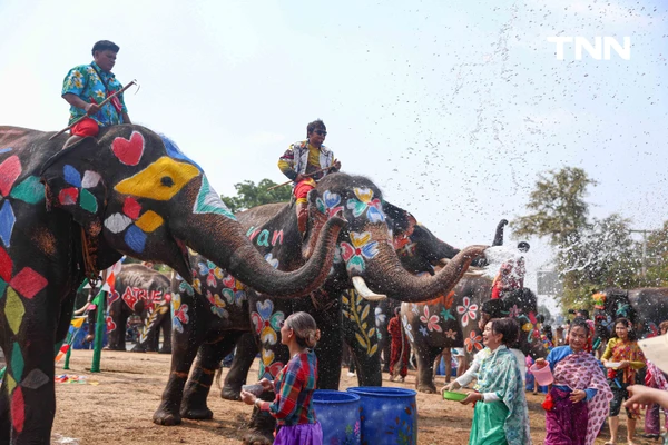 รูป-สีสันกรุงเก่า ช้าง 10 เชือกเพนต์ลายสวยงาม ร่วมเล่นน้ำรับมหาสงกรานต์อยุธยาปี 69-12