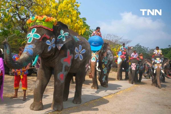 รูป-สีสันกรุงเก่า ช้าง 10 เชือกเพนต์ลายสวยงาม ร่วมเล่นน้ำรับมหาสงกรานต์อยุธยาปี 69-6