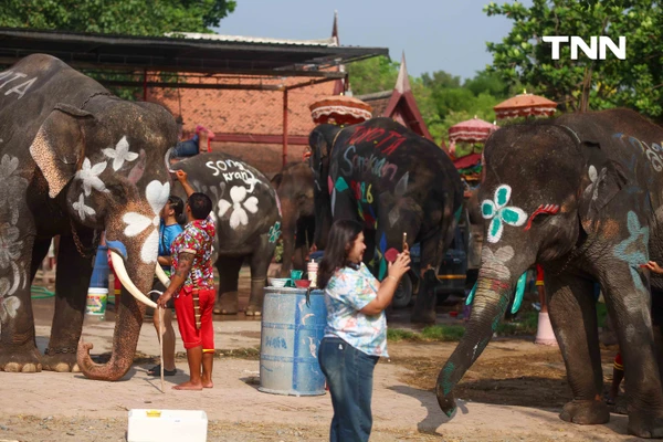 รูป-สีสันกรุงเก่า ช้าง 10 เชือกเพนต์ลายสวยงาม ร่วมเล่นน้ำรับมหาสงกรานต์อยุธยาปี 69-11